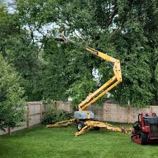 Best Residential Tree Removal  in Hustisford, WI