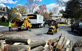 Best Storm Damage Tree Cleanup  in Hustisford, WI