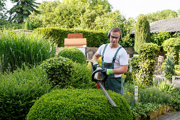 Best Lawn Irrigation Installation and Maintenance  in Hustisford, WI